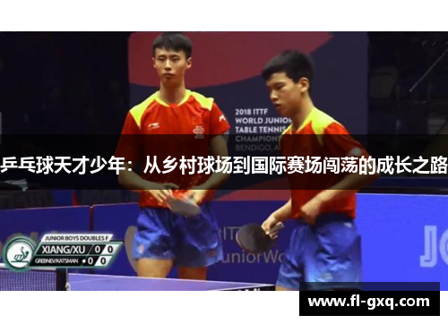 乒乓球天才少年：从乡村球场到国际赛场闯荡的成长之路